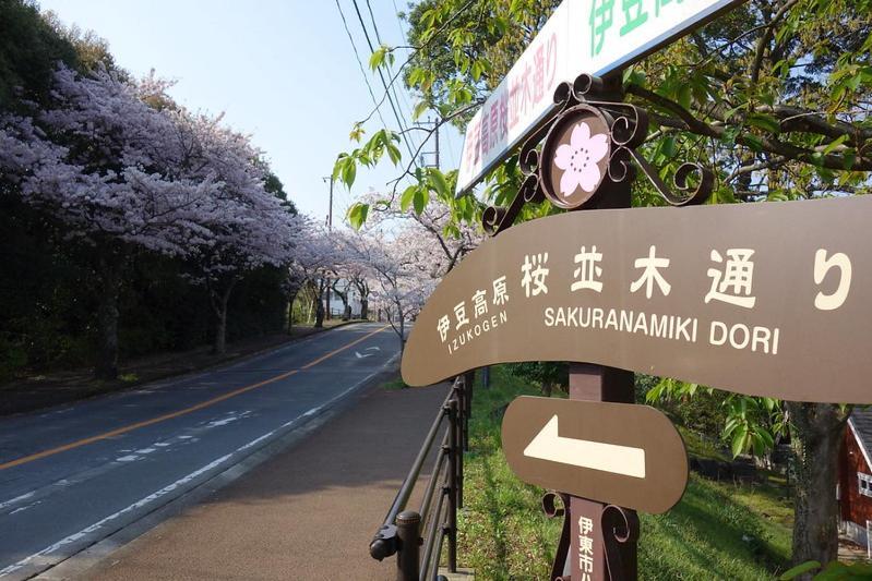 伊豆高原 温泉付別荘 Isana Mountain Villa Futo Kültér fotó