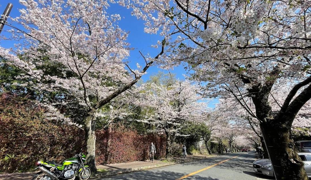 伊豆高原 温泉付別荘 Isana Mountain Villa Futo Kültér fotó