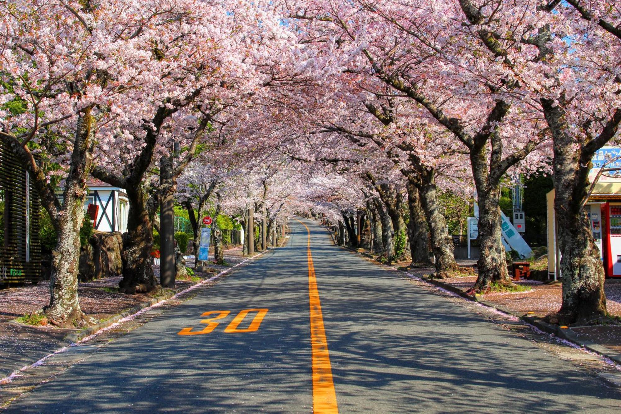 伊豆高原 温泉付別荘 Isana Mountain Villa Futo Kültér fotó